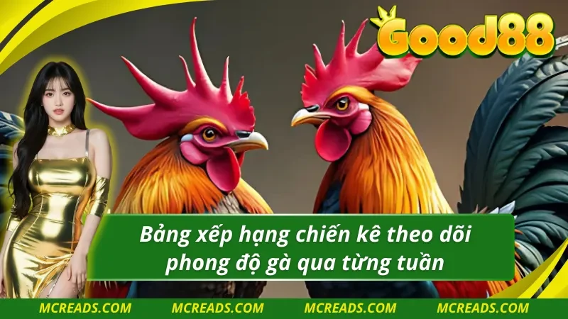 AOG đá gà có bảng xếp hạng từng chiến kê rõ ràng dễ theo dõi