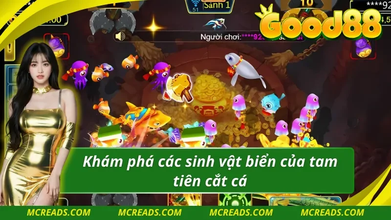 Các sinh vật biển trong TP tam tiên cắt cá