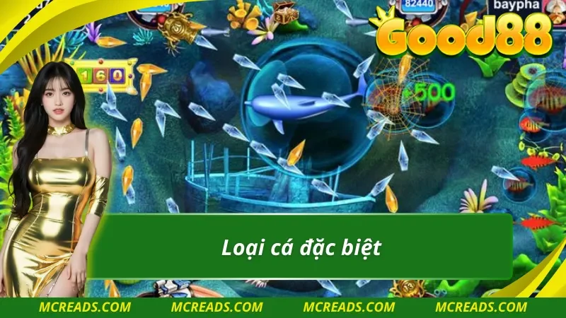 Những loại cá thưởng lớn trong TP tam tiên cắt cá